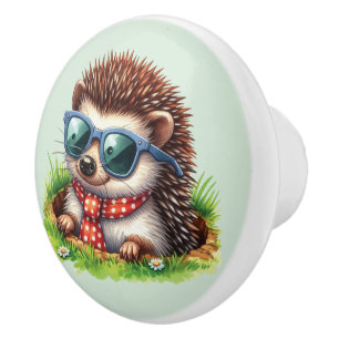 Cool boys hedgehog Nursery  Ceramic Knob