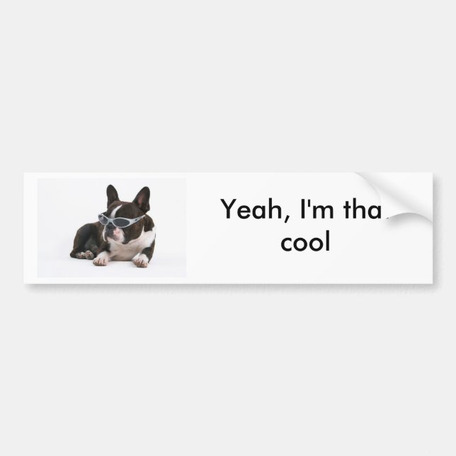 Cool Bulldog Bumper Sticker - White (Front)