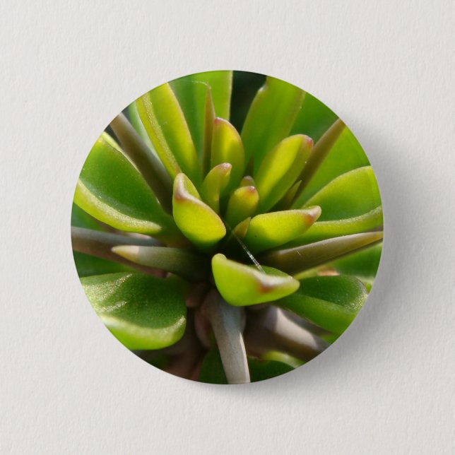 Cool Cactus 2 Inch Round Button (Front)