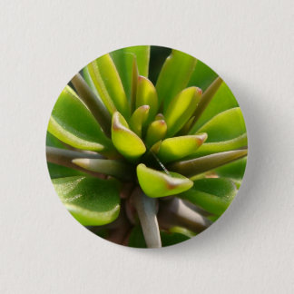 Cool Cactus 2 Inch Round Button