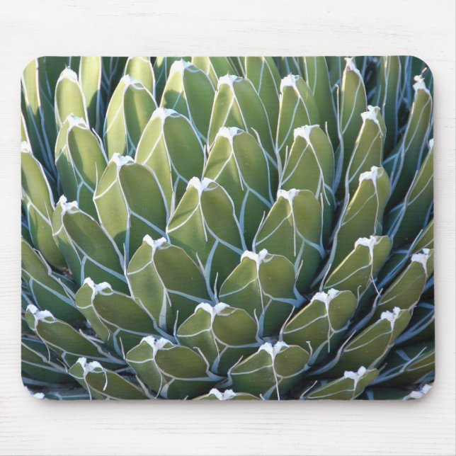 Cool Cactus Mousepad (Front)