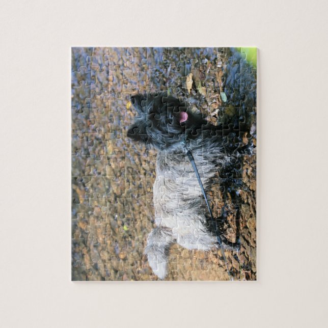 Cool  cairn jigsaw puzzle (Vertical)