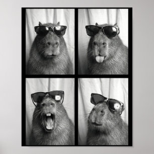 Cool Capybara With Sungles Photobooth Funny Rodent Poster