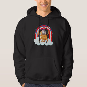 Cool Cat 4th Of July Caticorn Unicorn Meowicat Hoodie