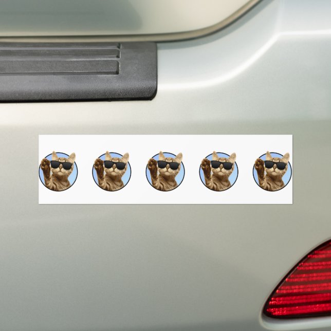 Cool Cat Bumper Sticker  (On Car)