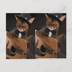 Cool Cat Guitarist  Postcard