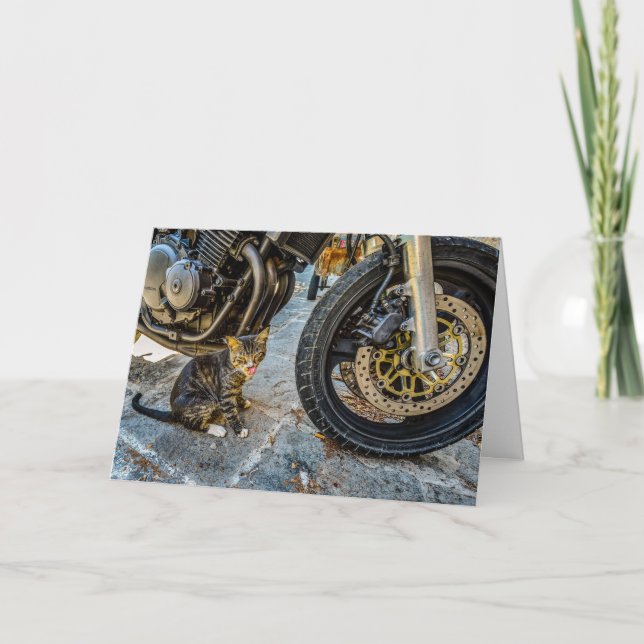 Cool cat motorcycle funny greeting card (Front)