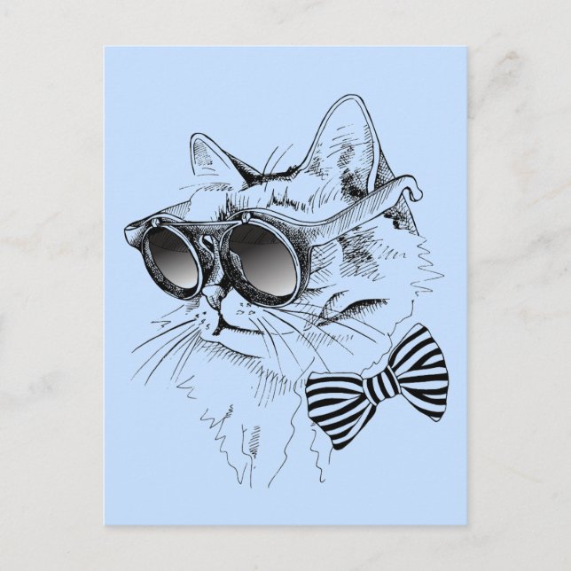 Cool Cat Postcard (Front)