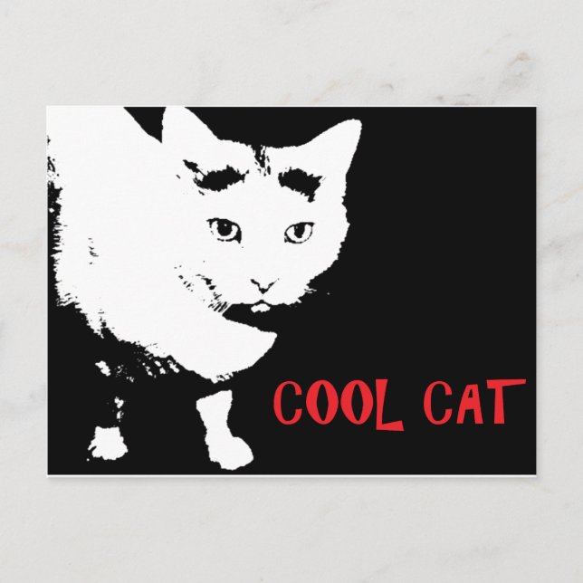 COOL CAT POSTCARD (Front)