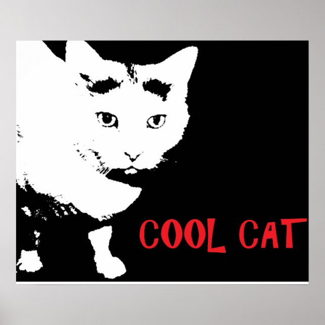 COOL CAT POSTER (Front)