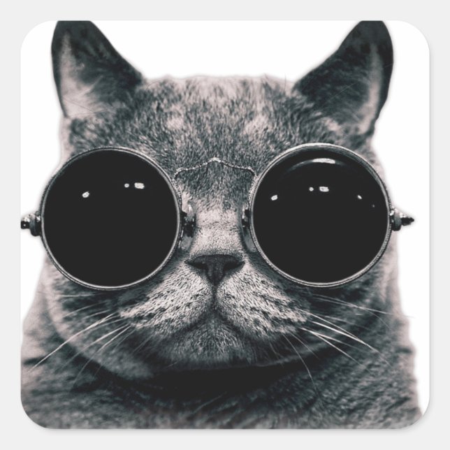 COOL CAT. SQUARE STICKER (Front)