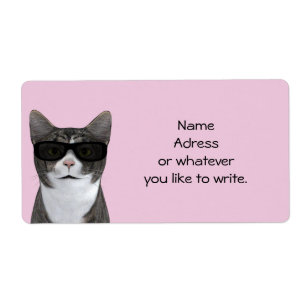 Cool Cat With Black Sunglasses