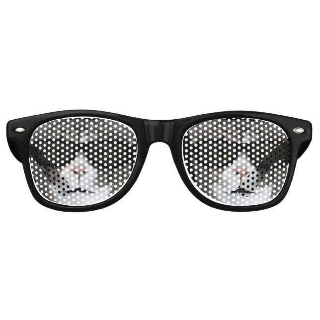 Cool Cat With Black Sunglasses (Front)