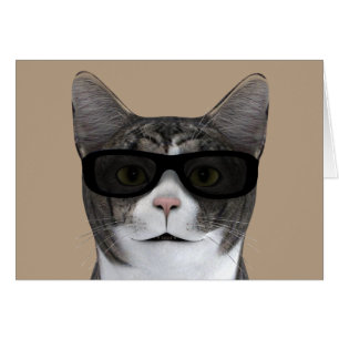 Cool Cat With Black Sunglasses