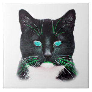 Cool Cat with Turquoise Eyes Tile