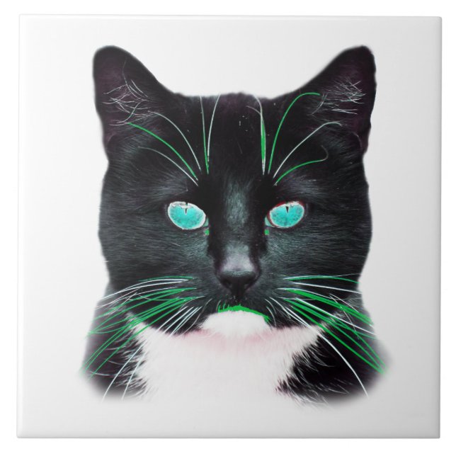 Cool Cat with Turquoise Eyes Tile (Front)