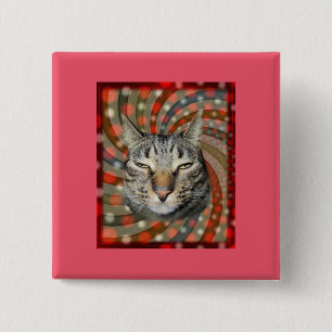 Cool Cat – YOU CAPTION Your Gift! 2 Inch Square Button