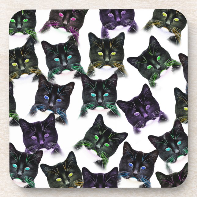 Cool Cats Coaster (Front)