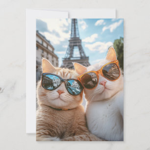 Cool Cats in Paris Invitation