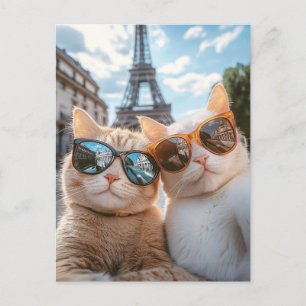 Cool Cats in Paris Postcard