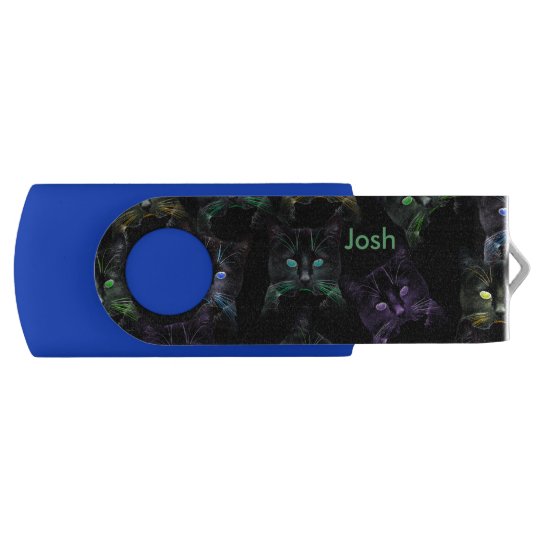 Cool Cats on Black! Multi-Coloured Funky Cats. USB Flash Drive