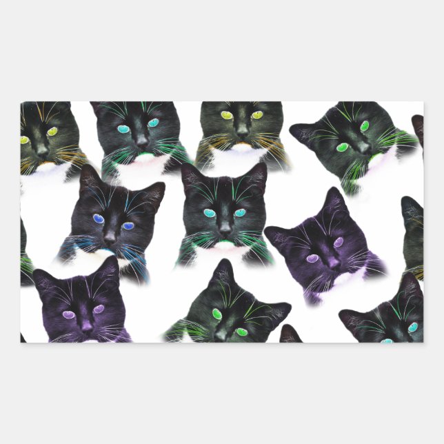 Cool Cats Sticker (Front)