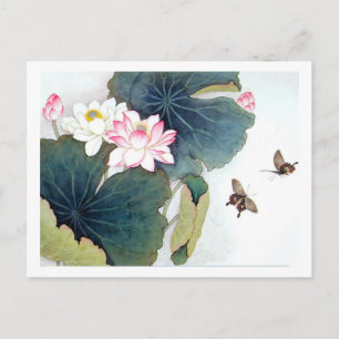 cool chinese lotus leaf pink flower butterfly art postcard