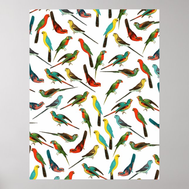 Cool colourful tropical watercolor birds pattern poster (Front)