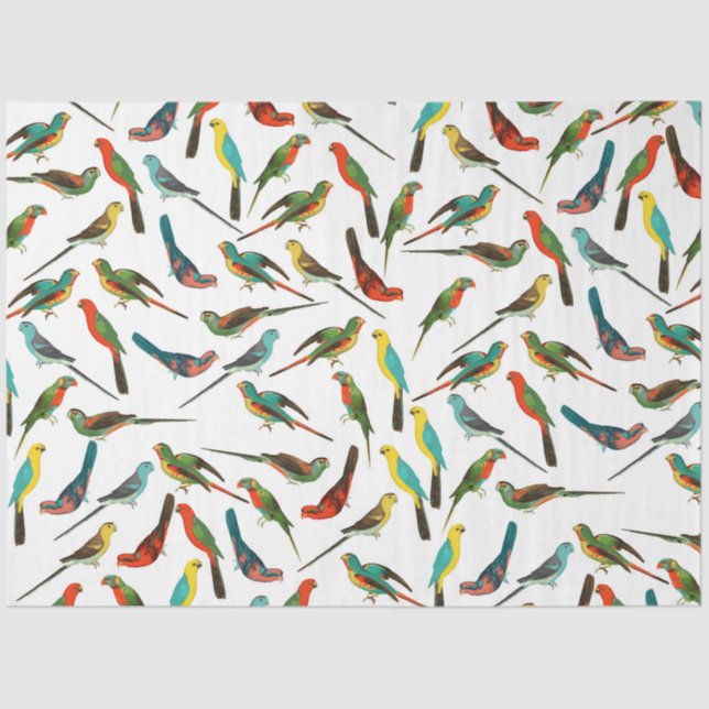 Cool colourful tropical watercolor birds pattern tissue paper (Front)