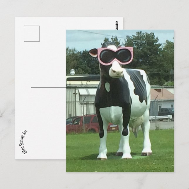 cool cow 1 postcard (Front/Back)