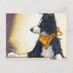 Cool cowboy collie carefully keeps an eye... postcard