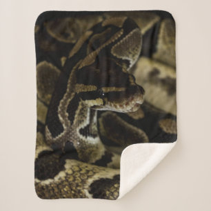 Cool Dark Snake Sherpa Blanket