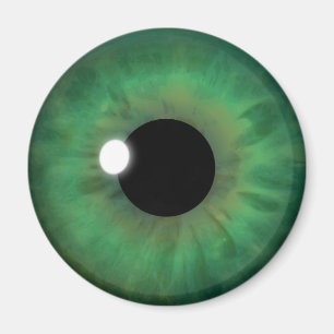Cool de l'oeil vert Iris Eyeball Magnets