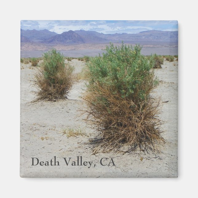 Cool Death Valley Magnet! Magnet (Front)