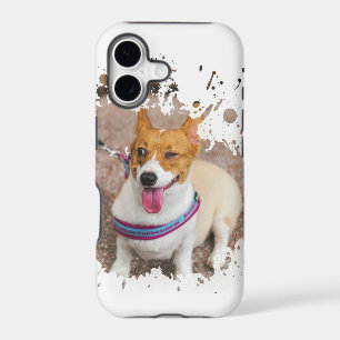 Cool Dog