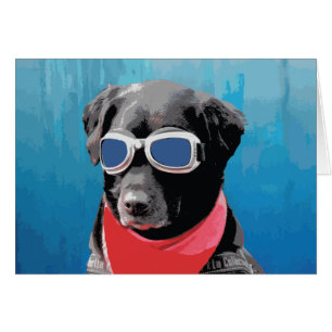 Cool Dog Black Lab Red Bandana Blue Goggles