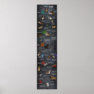 Cool Dog Poster