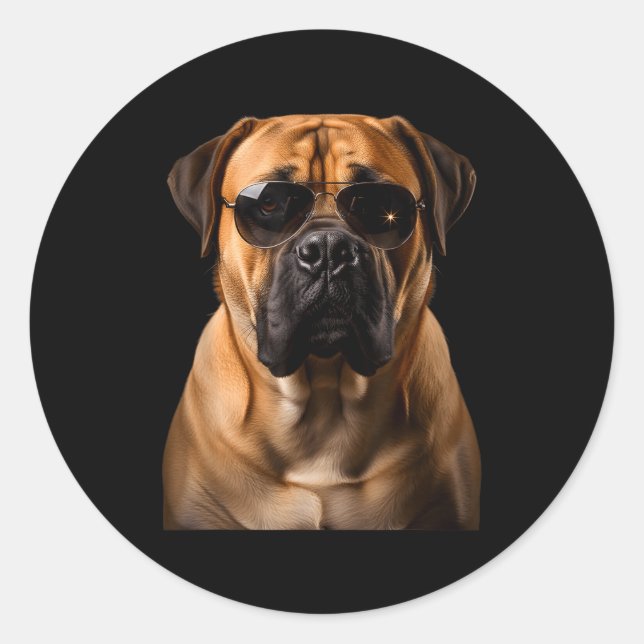 Cool Dog Sungles Bullmastiff Funny Look  Classic Round Sticker (Front)