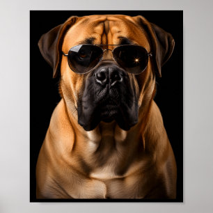 Cool Dog Sungles Bullmastiff Funny Look  Poster