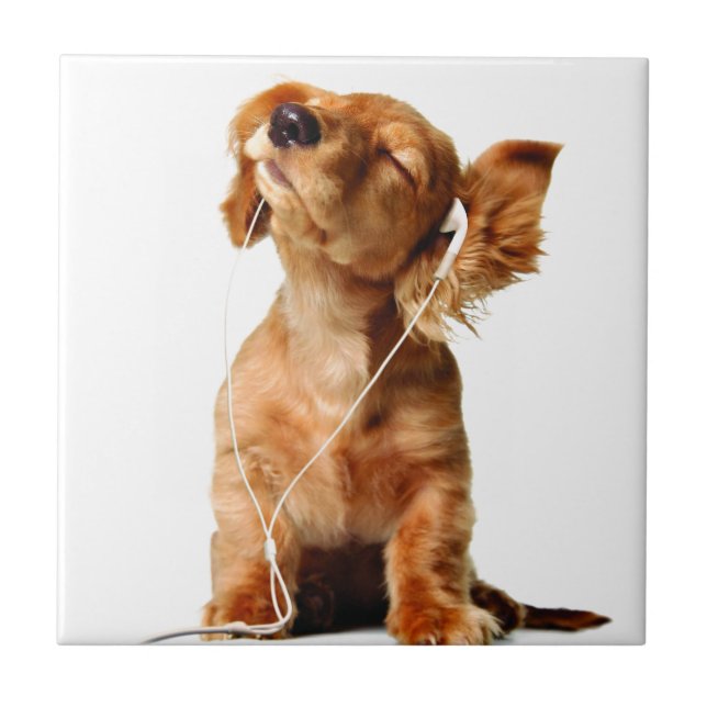 Cool Dog Tile (Front)