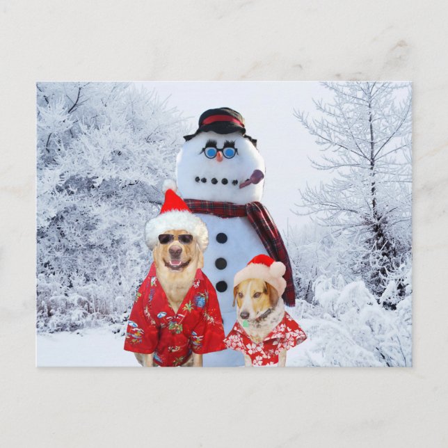 Cool Dogs and Snowman Postcard (Front)