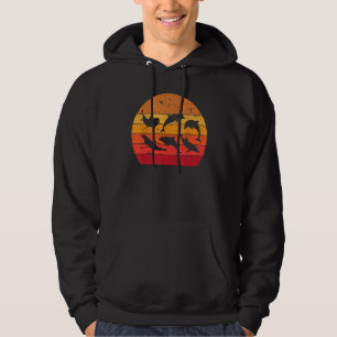 Cool Dolphins Vintage Graphic Dolphin Show Hoodie