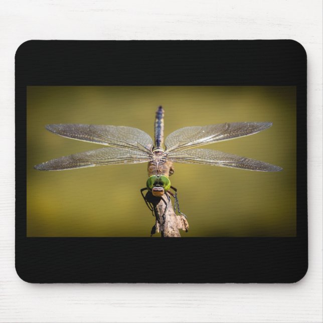 Cool Dragonfly Mouse Pad (Front)