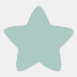 Cool Duck egg blue - add own text, image, design Star Sticker