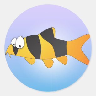 Cool fish - Clown loach Classic Round Sticker
