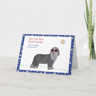Cool Friend Dog Card