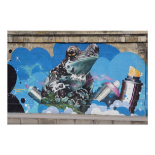 Cool Frog Between Spray Cans Graffiti Poster