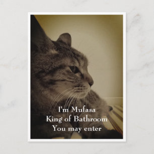 Cool & Funny Bathroom Welcome Postcard