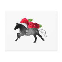 Cool Galazy Horse Black + White Nebula with Roses
