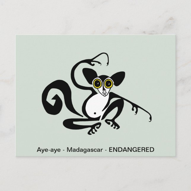 Cool graphic - AYE-AYE- lemur - primate -  Postcard (Front)